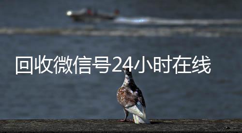 回收微信号24小出售微信24小时在线回收时在线秒结（回收微信号网站）
