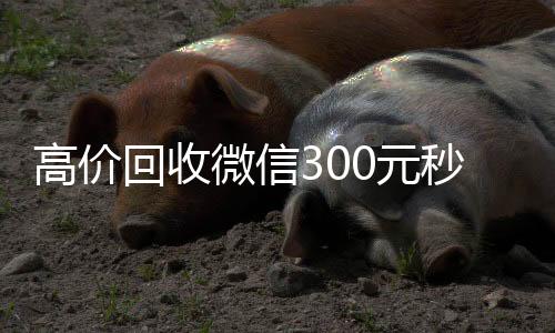 高价回收微信324小时高价回收vx00元秒结（回收微信价格）