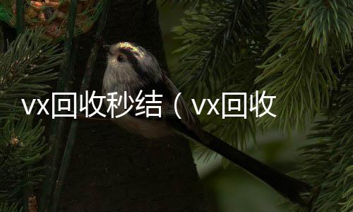 vx回收秒结全天24小时高价回收微信号秒结平台（vx回收秒结500）